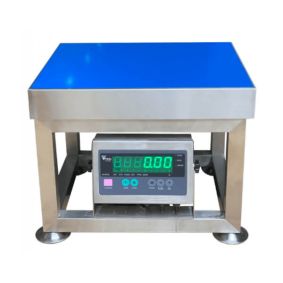 Cân gà 300Kg
