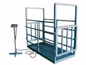 Cân trâu điện tử